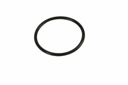 O-ring INTEX 13099 na kartridżu z elektrodą tytanową